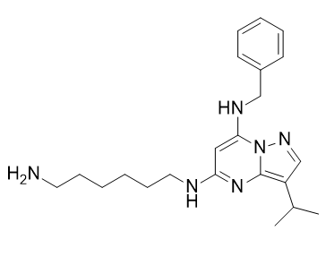 BS-181 1092443-52-1